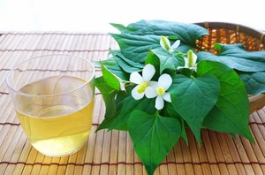 どくだみの花